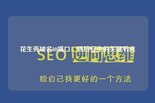 花生壳域名80端口：网络安全的关键节点